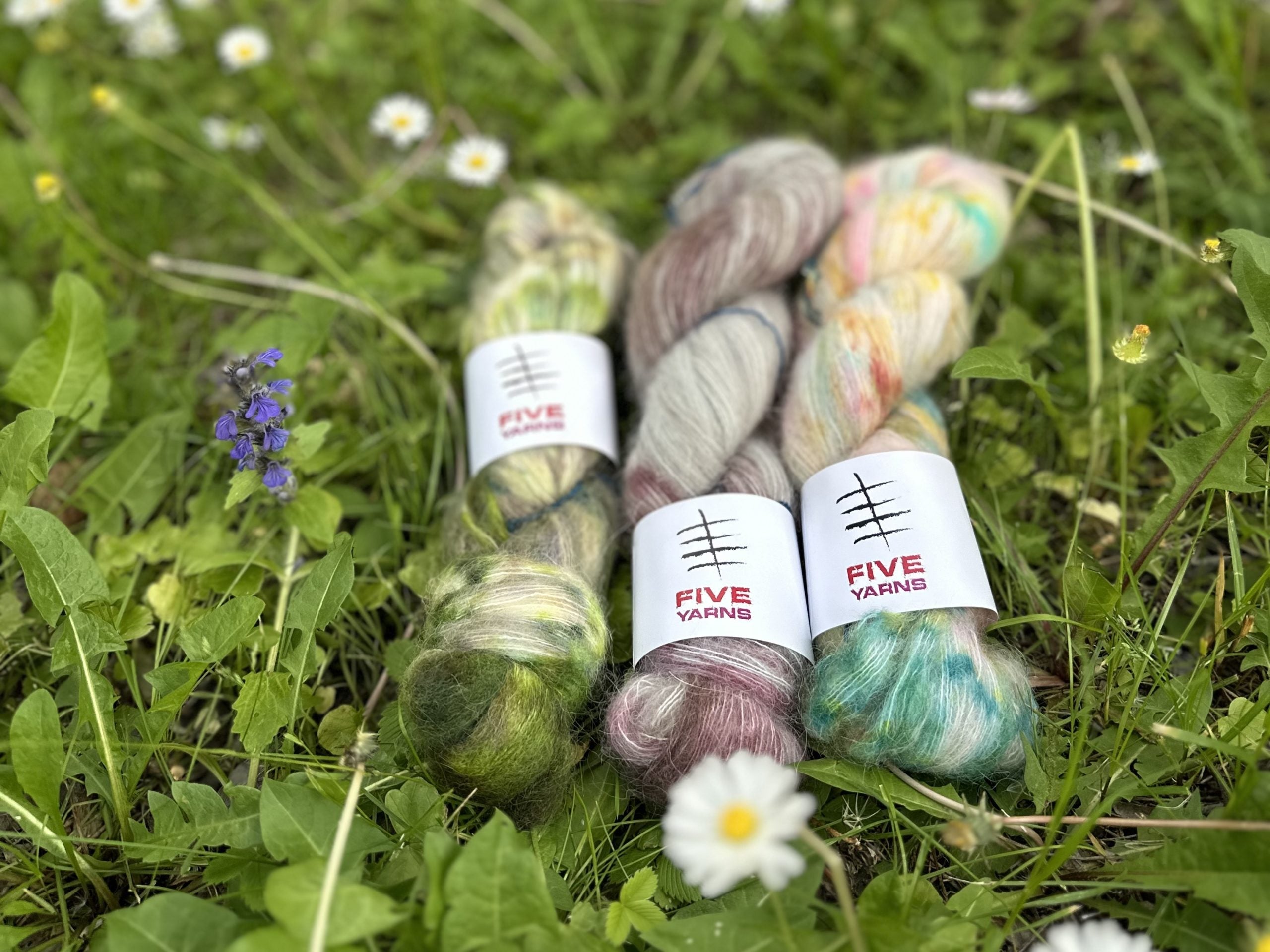 Introducing Woolgathering: our sister yarn shop in Sofia, Bulgaria!