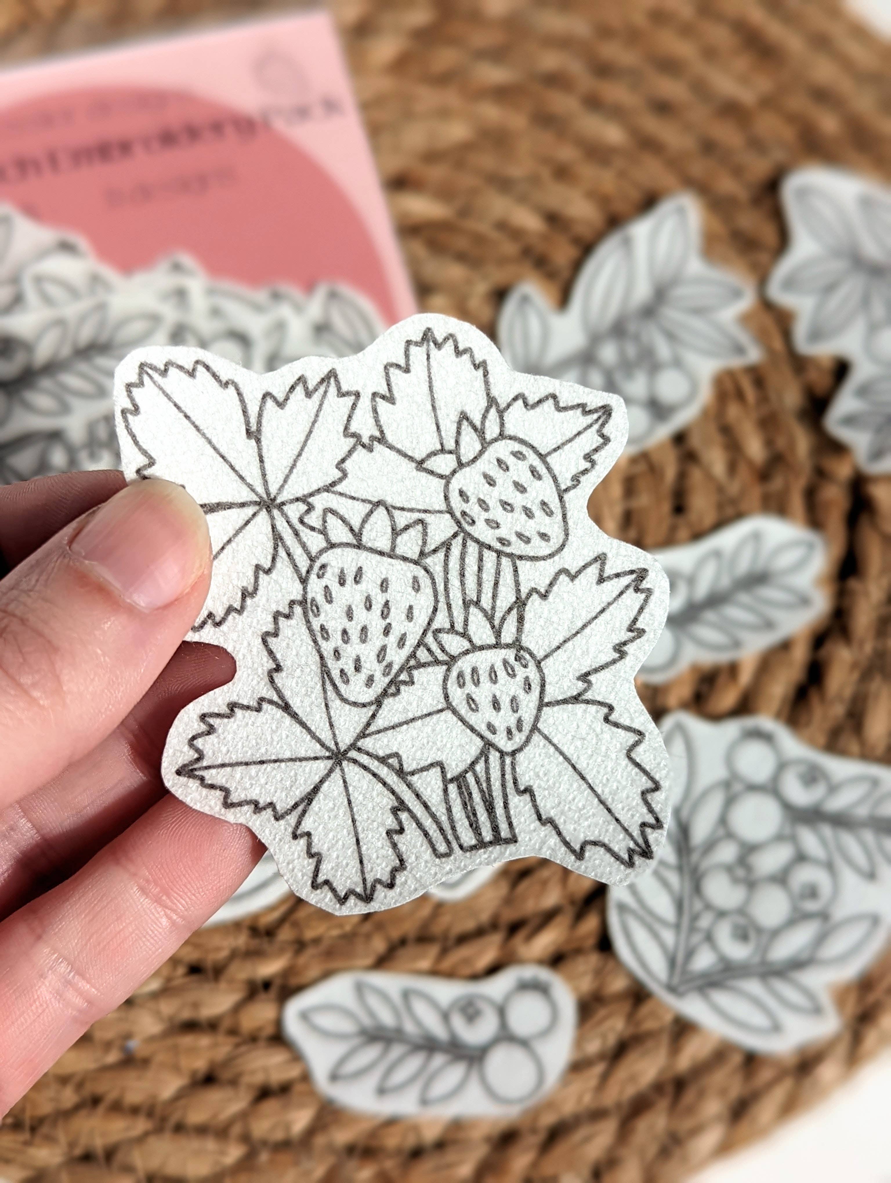 Fruits Stick & Stitch Embroidery Pack