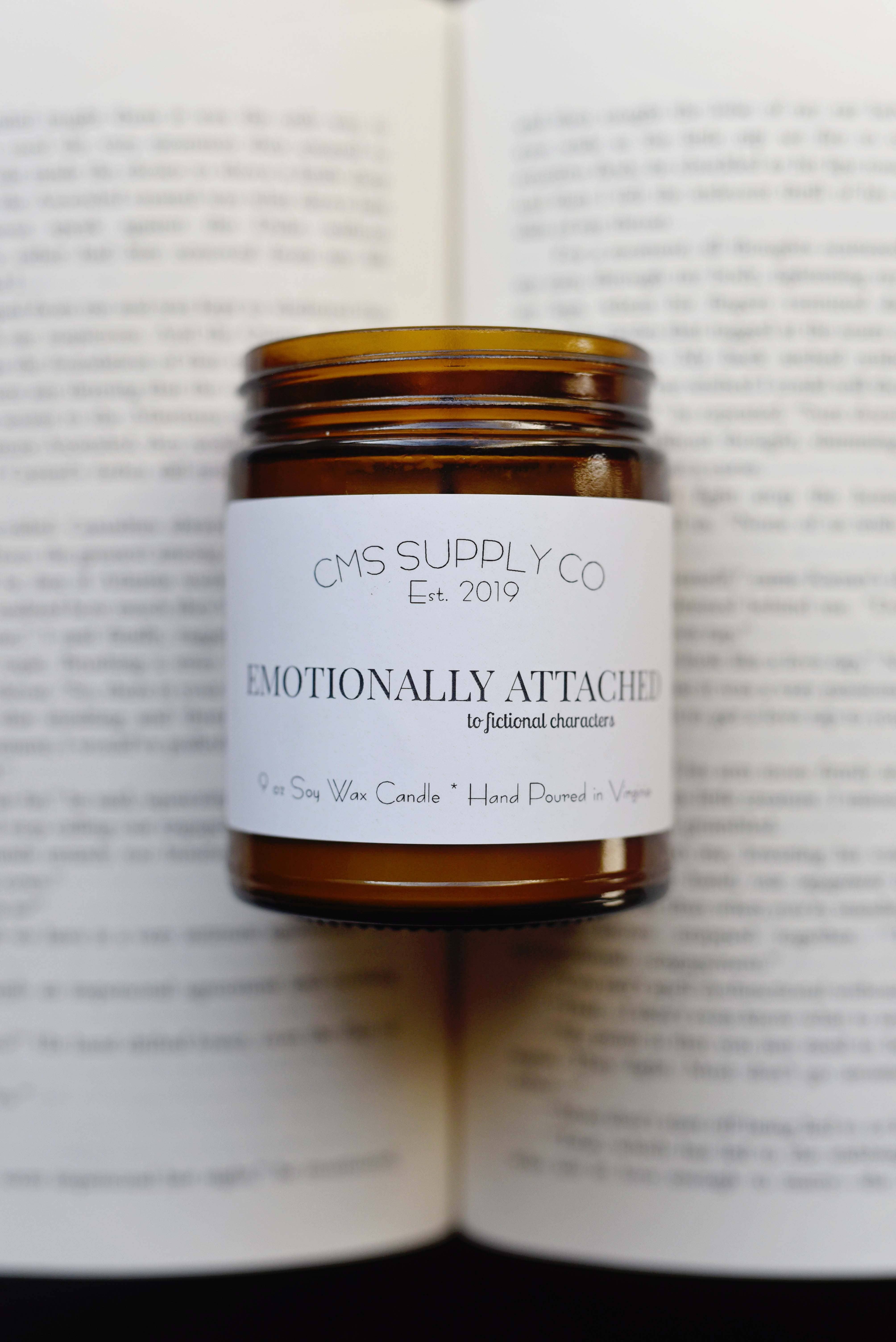 Emotionally Attached to Fictional Characters-Bookish Candle