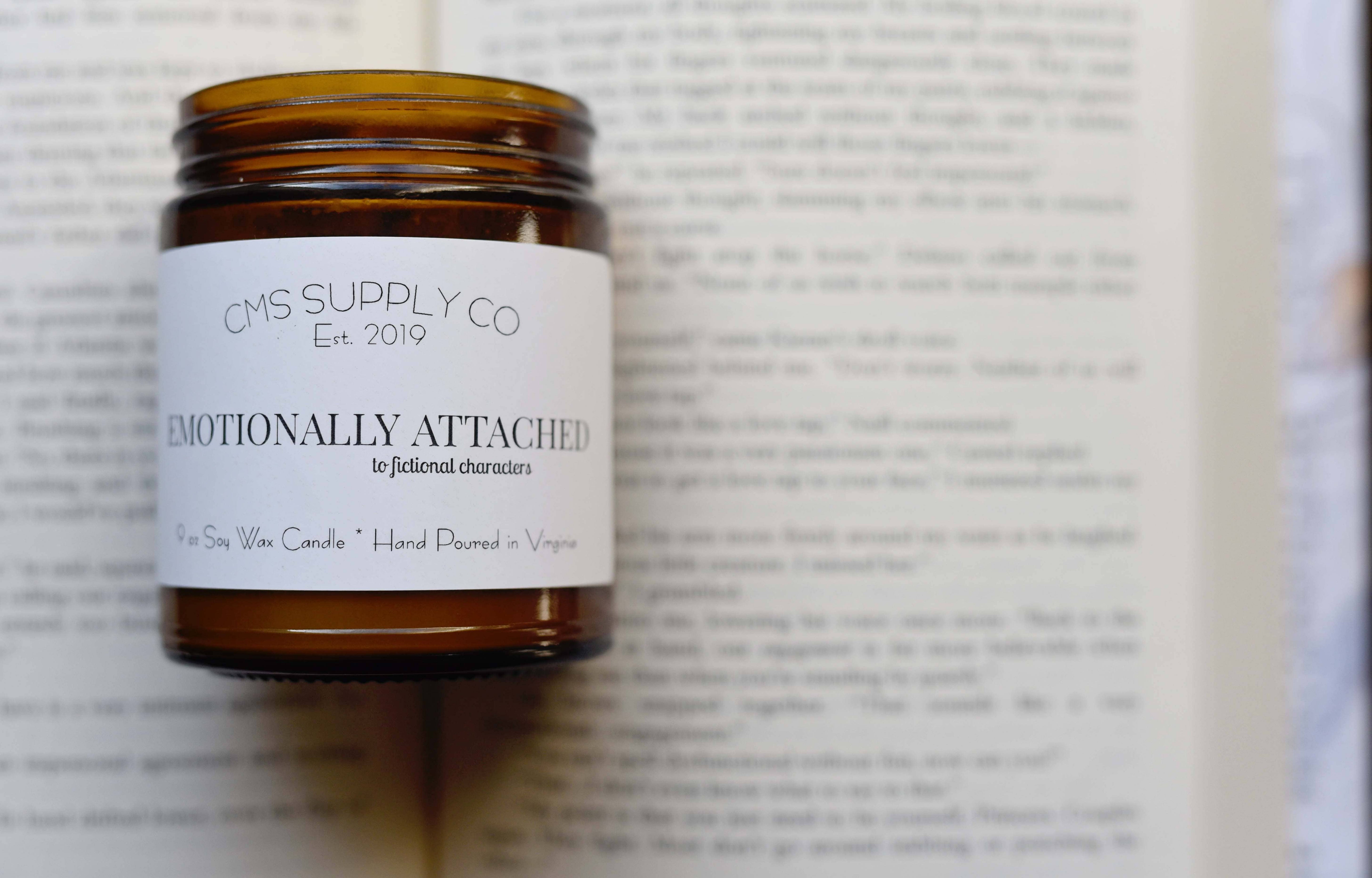Emotionally Attached to Fictional Characters-Bookish Candle
