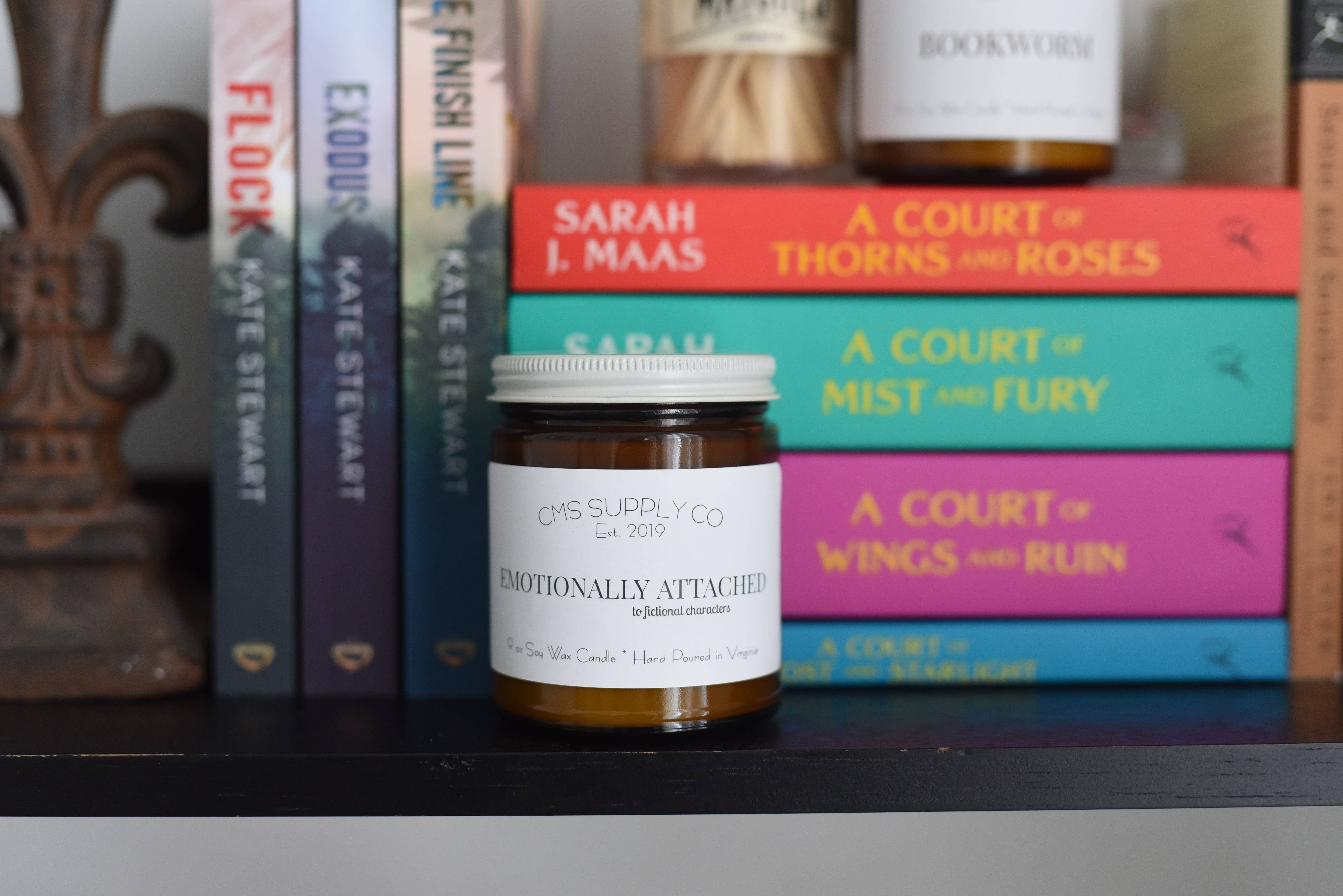 Emotionally Attached to Fictional Characters-Bookish Candle