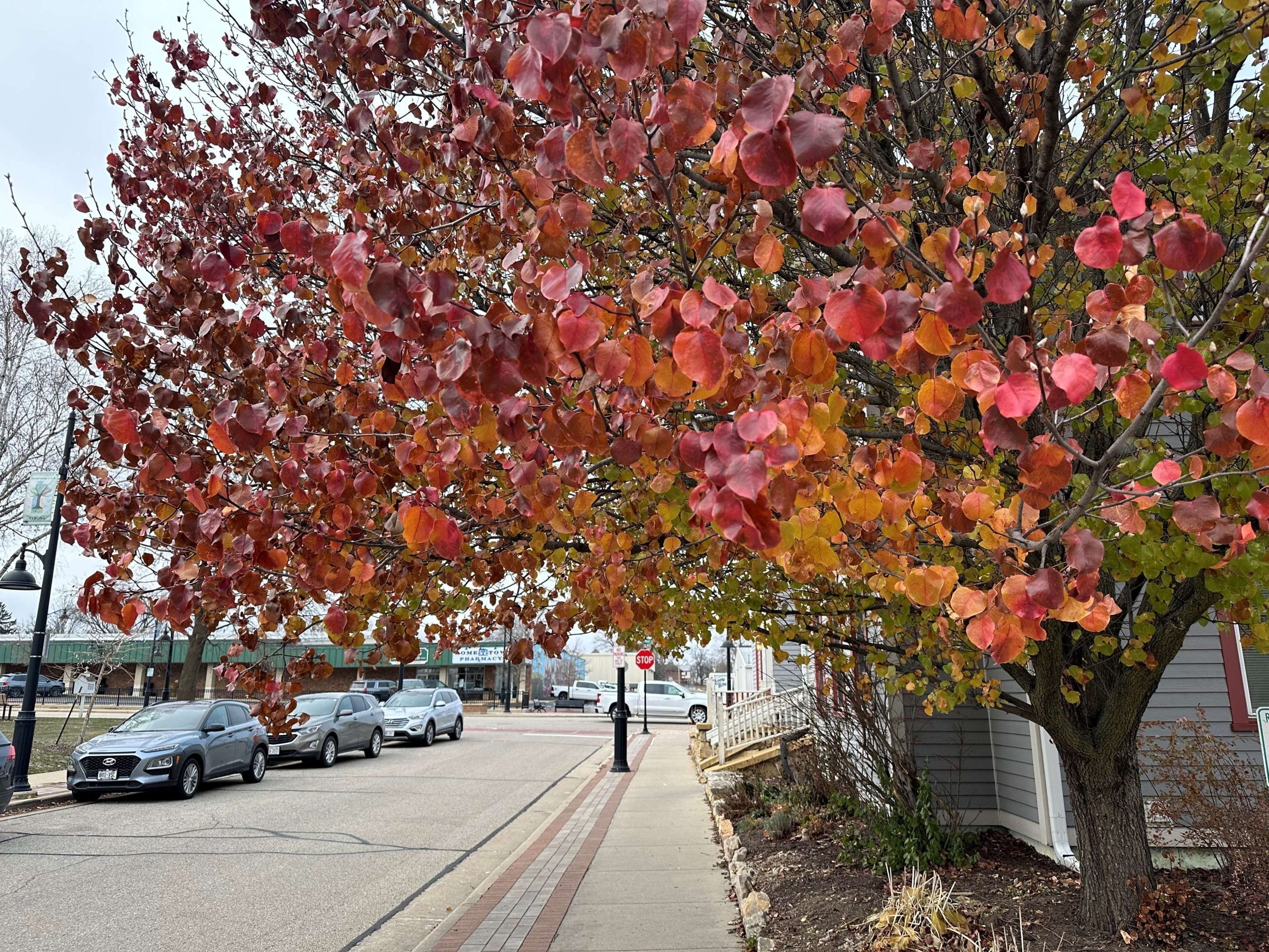 Autumnal Retreat 2025: Crafting as Self-Care