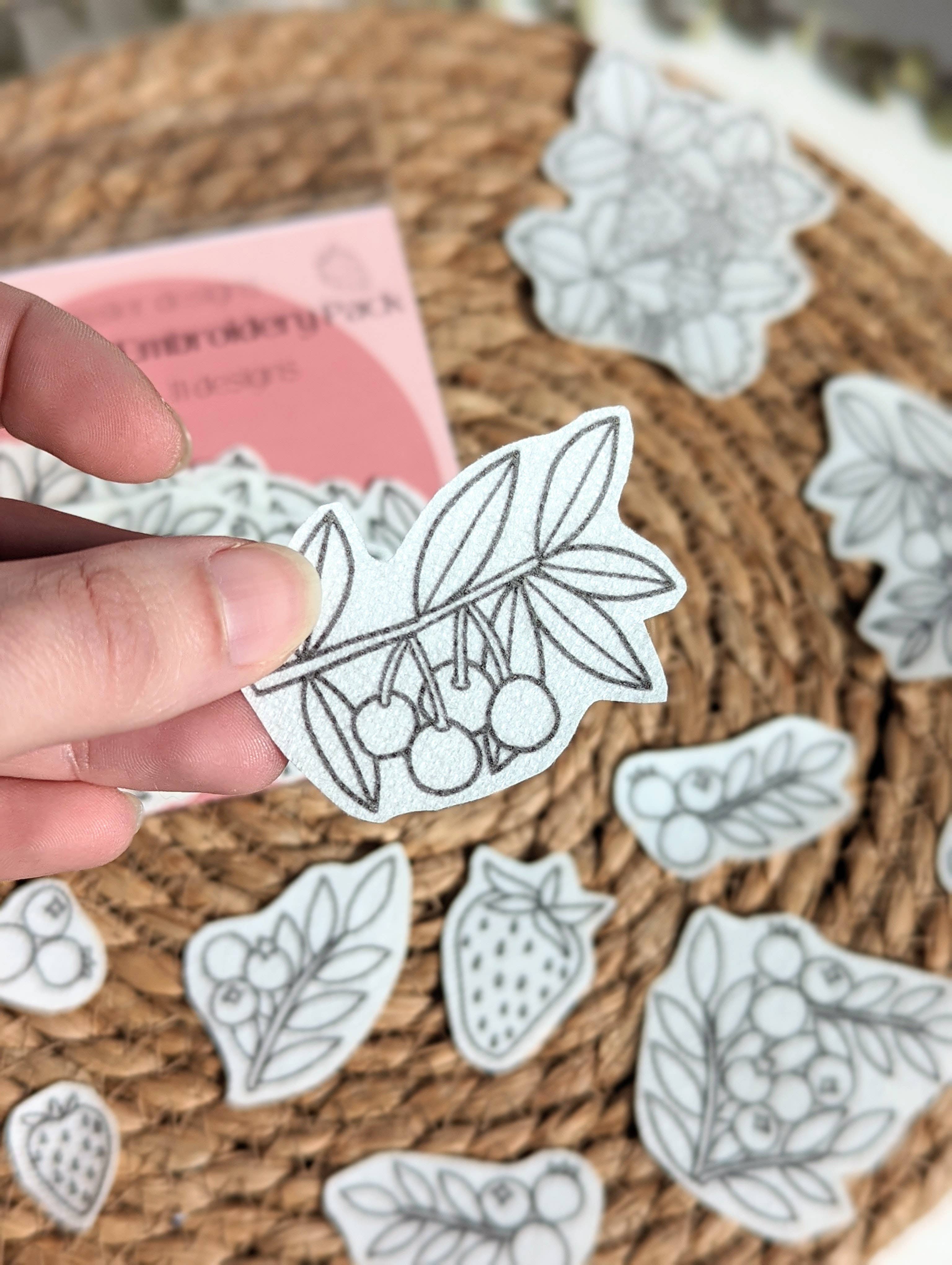 Fruits Stick & Stitch Embroidery Pack