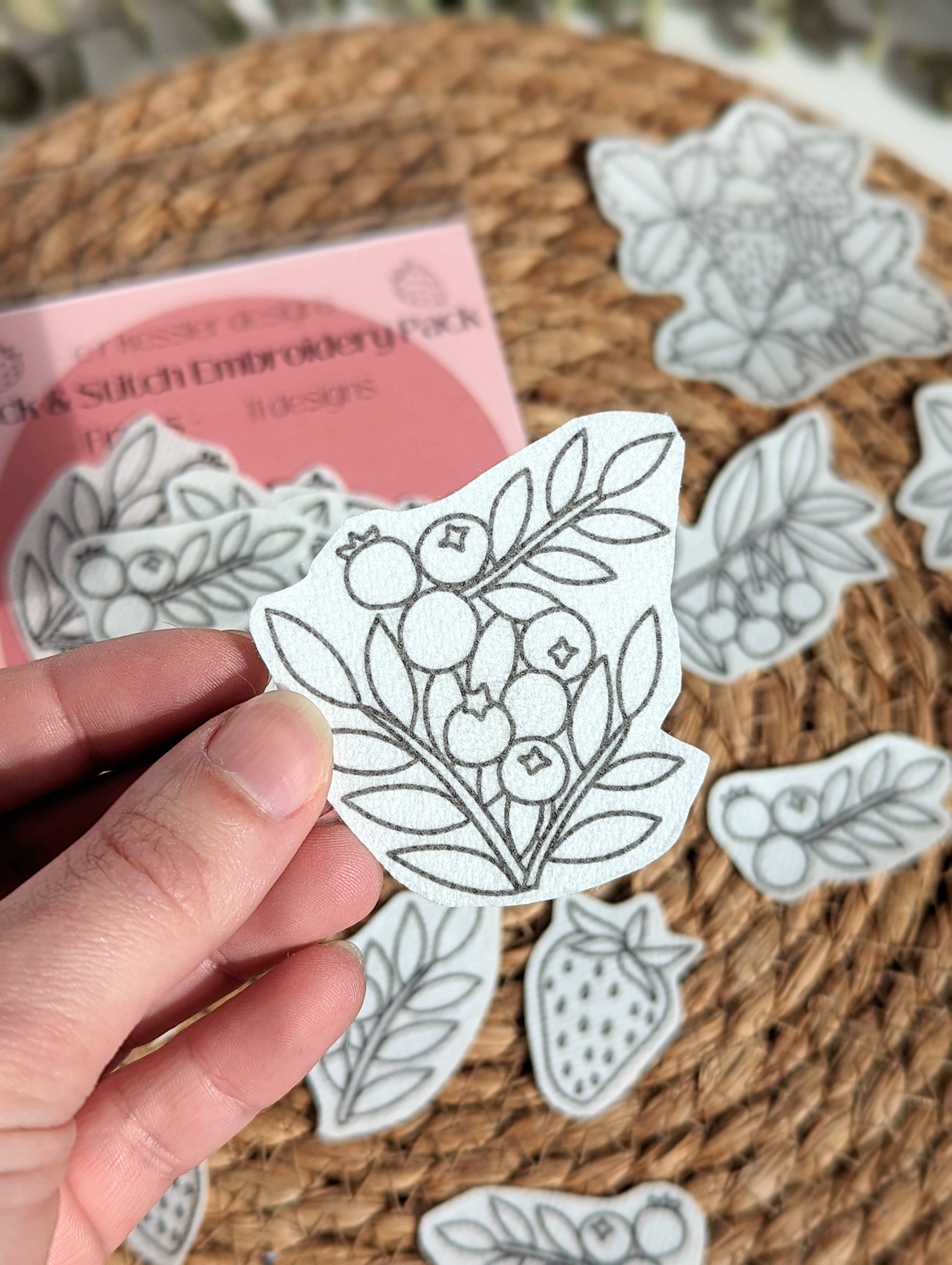 Fruits Stick & Stitch Embroidery Pack