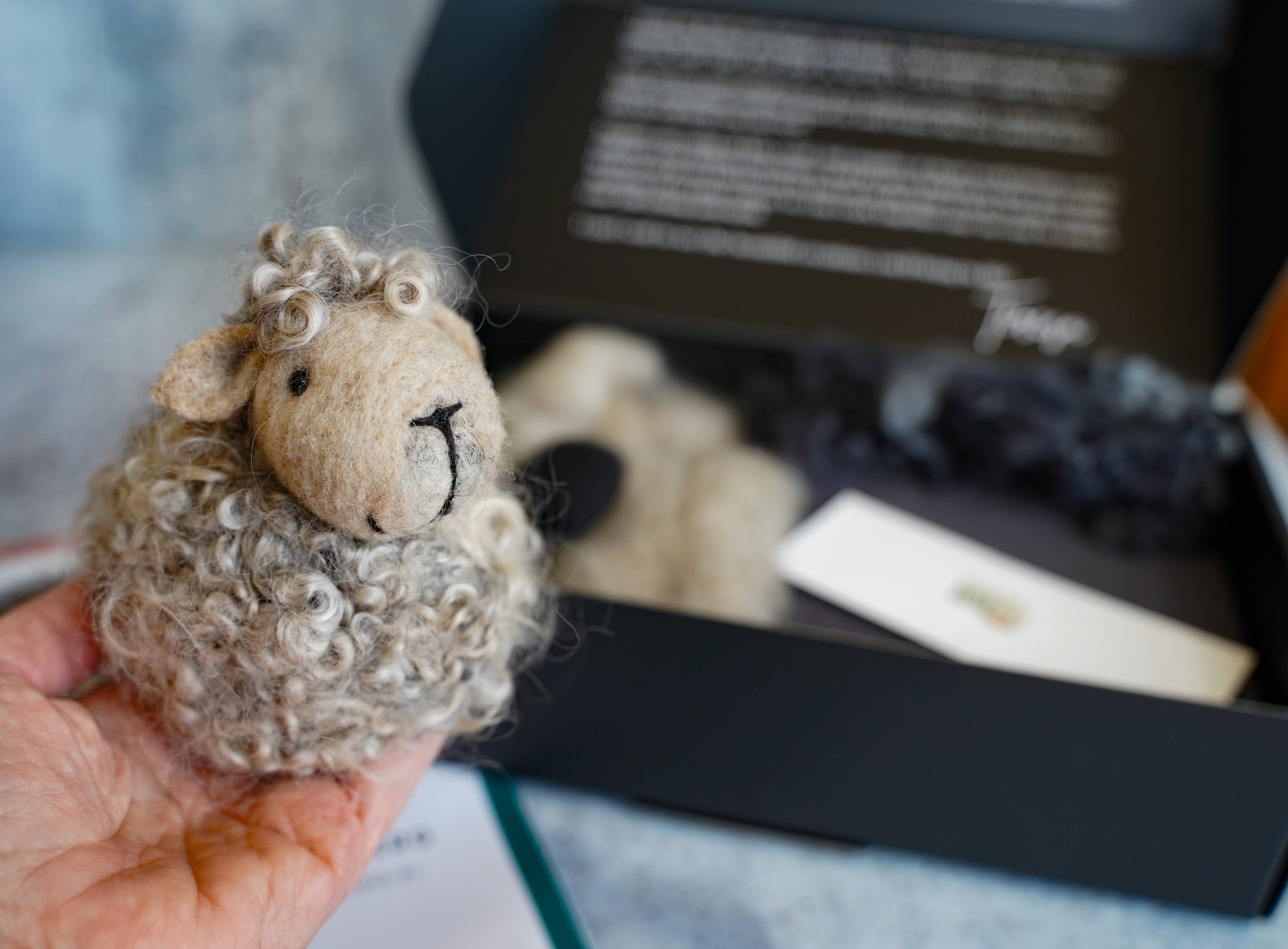 Black Sheep Needle Felting Kit