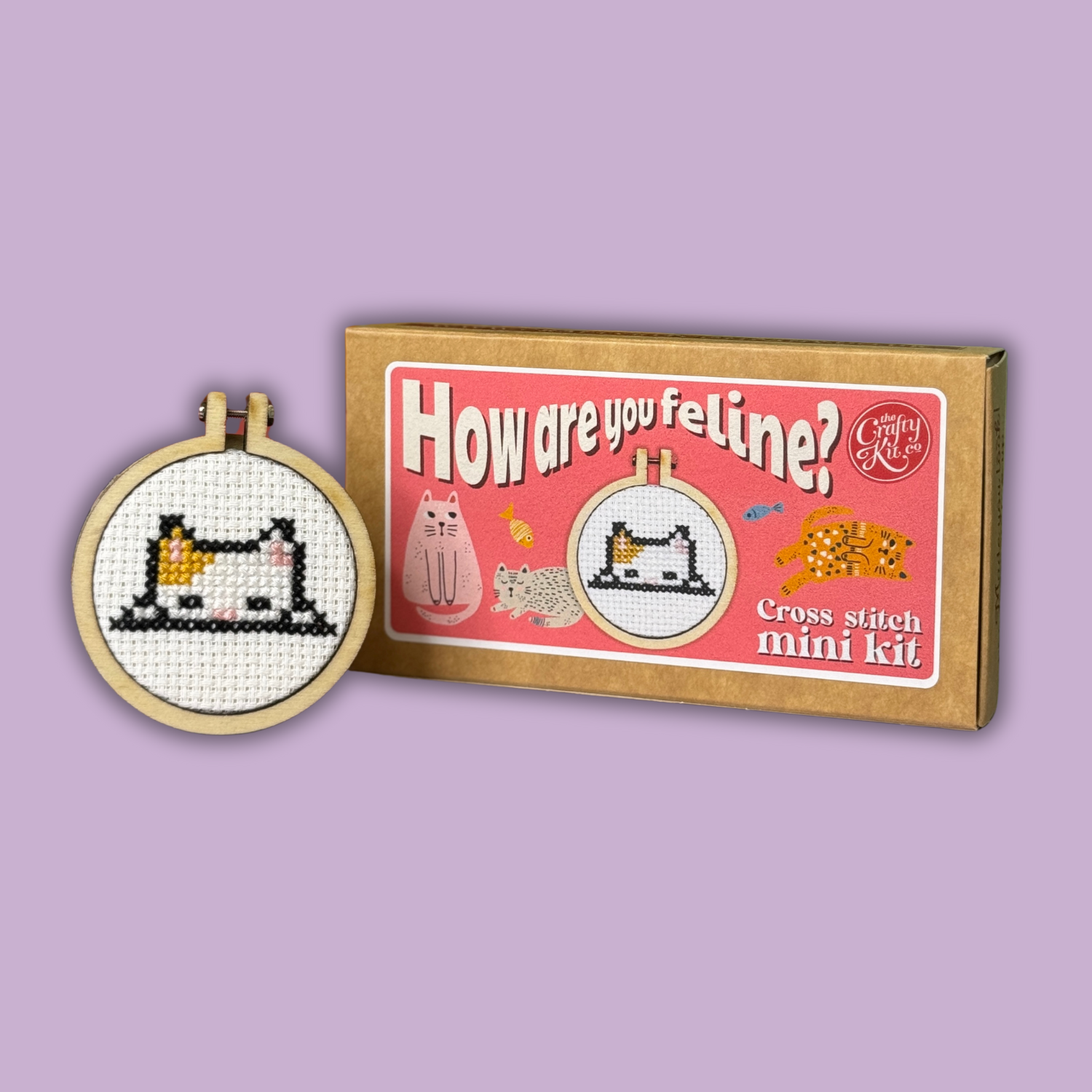 'How Are You Feline?' Mini Matchbox Cross Stitch Kit
