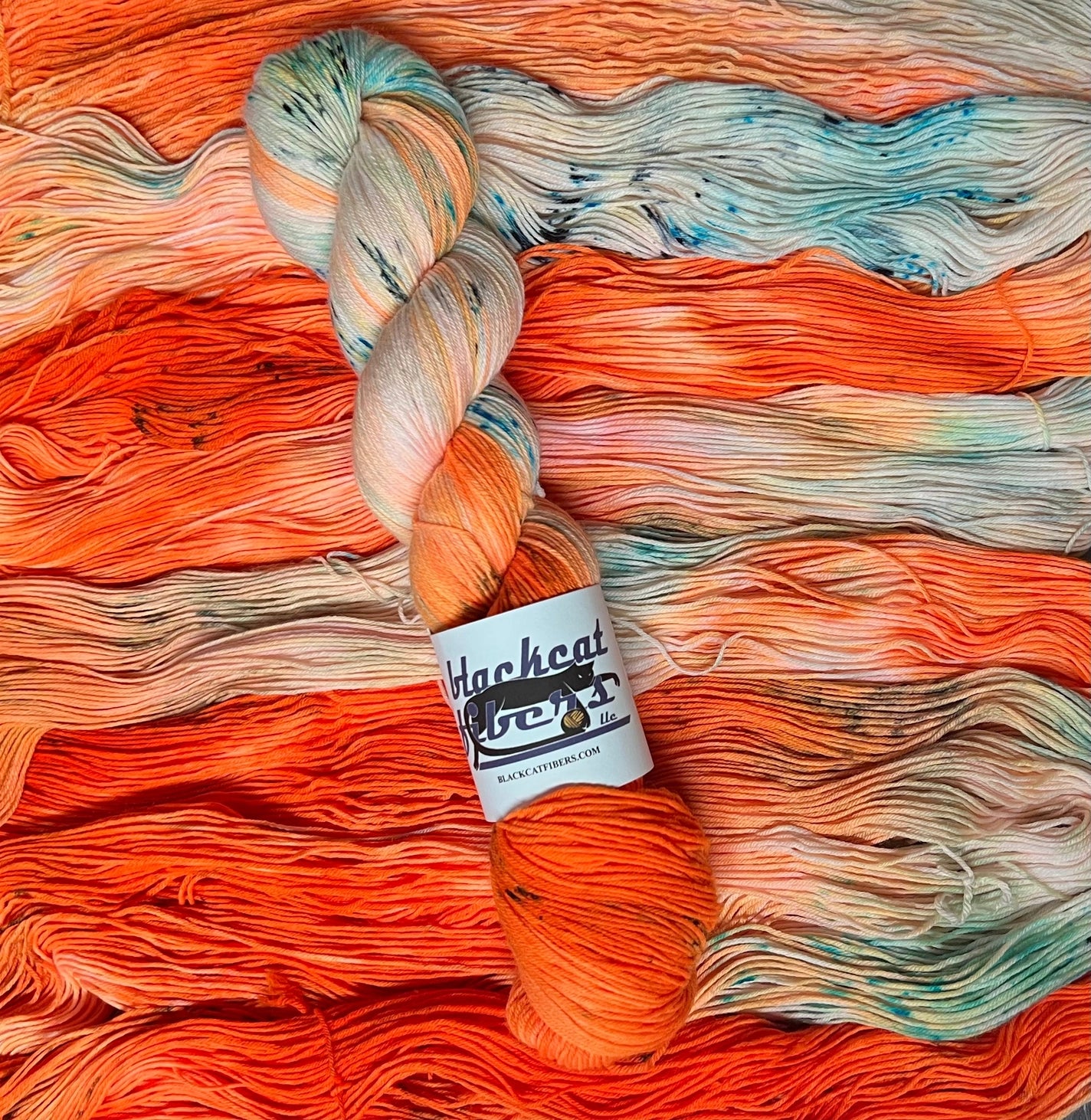 Black Cat Fibers Nomad Sock Yarn