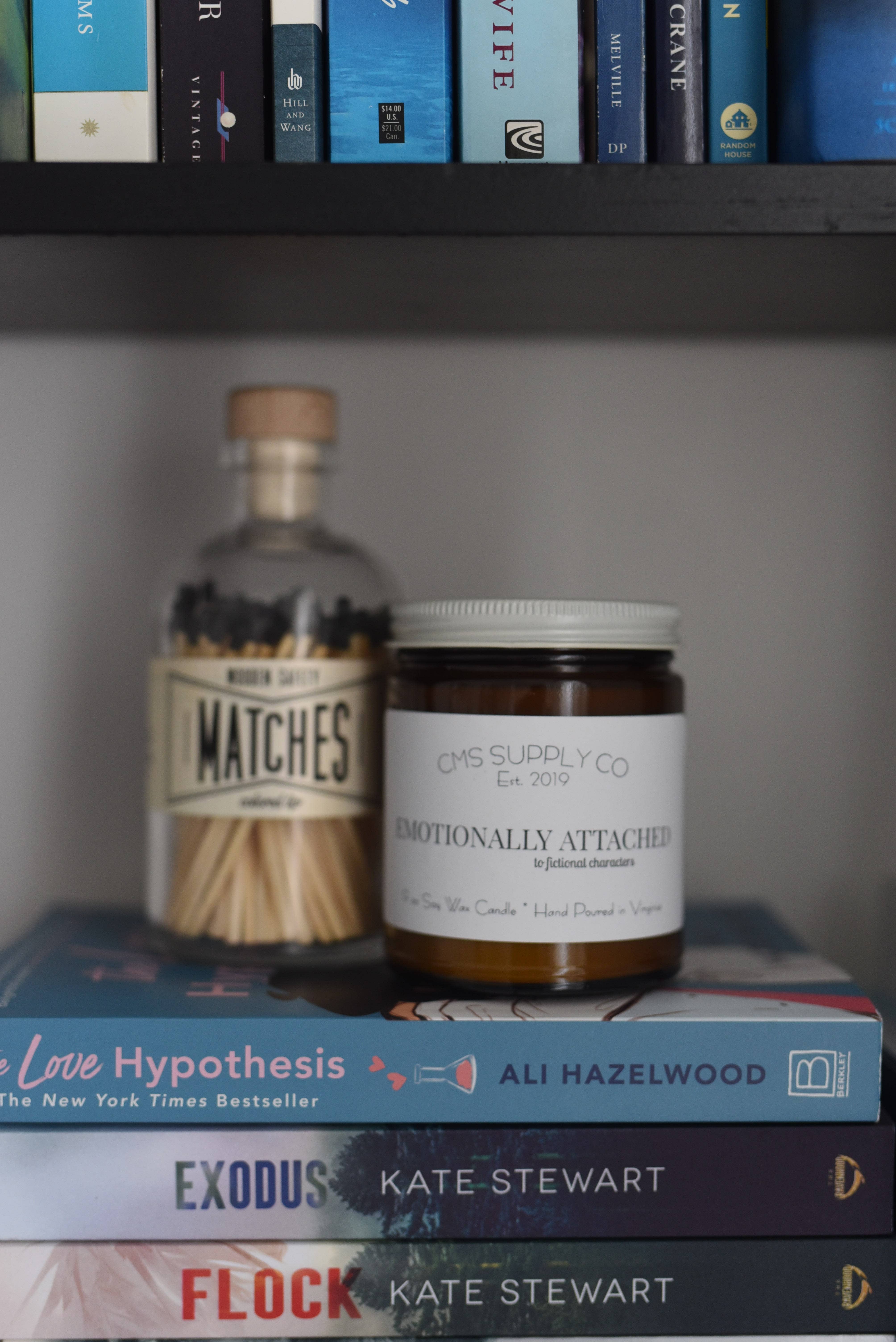 Emotionally Attached to Fictional Characters-Bookish Candle